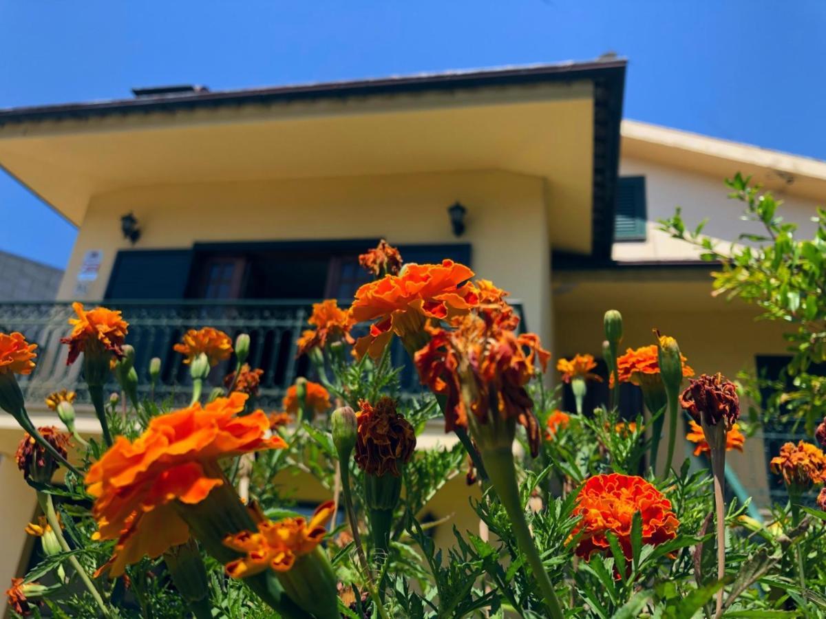 Villa Casa Sao Simao Barcelos Exterior foto